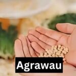 agrawau